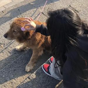 凪光老师的家教日常免费观看全集
