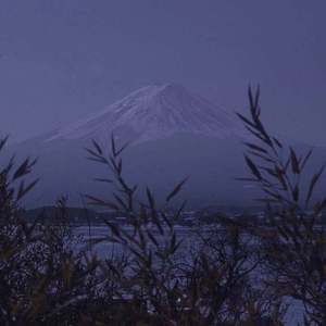 凪光老师的家教日常免费观看全集
