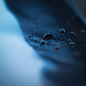 凪光老师的家教日常免费观看全集
